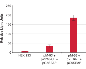 Chemiluminescent detection of protein-protein interactions