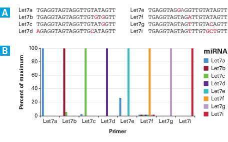 Specific quantification of Let7 miRNA variants