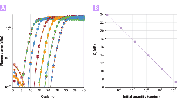 The BacPAK qPCR Titration kit offers a wide dynamic range