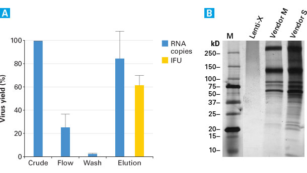 Clontech's lentiviral purifcation kit generates high yield and high purity