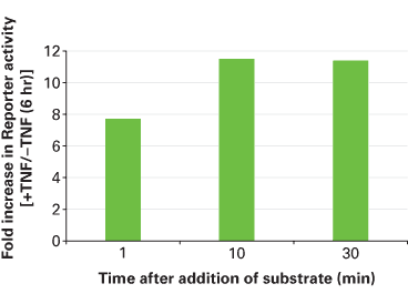 Monitoring promoter activation using the sequence-optimized secreted Metridia luciferase reporter