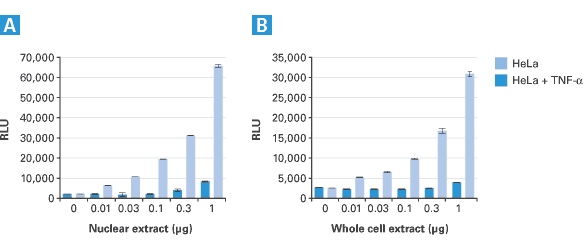 TransFactor Chemiluminescent Kits detect DNA-transcription factor binding activities in as little as 10 ng of cellular extract
