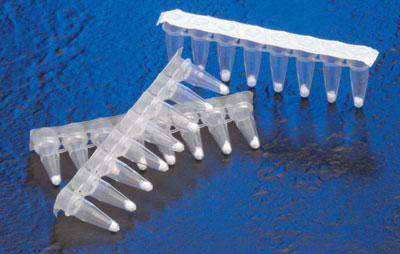 EcoDry Premixes are packaged in individual 8-well tube-strips with optically clear sealing caps