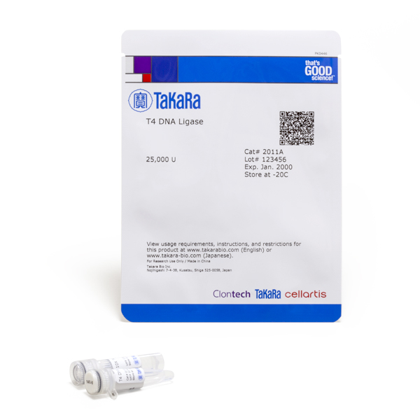 T4 DNA Ligase