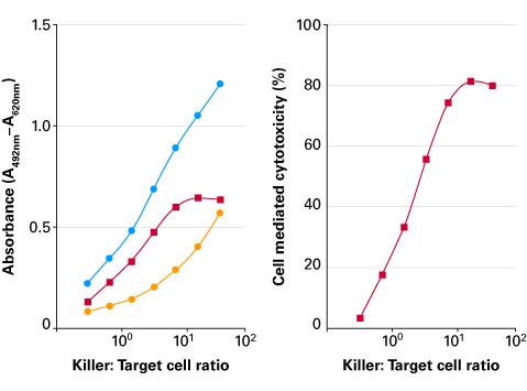 Using the LDH assay to measure the cytolytic activity of allogen-stimulated, cytotoxic T lymphocytes