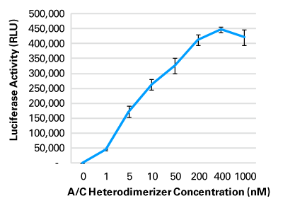 Regulated transcription of luciferase using the iDimerize Regulated Transcription System