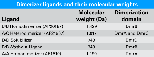 Molecular weights of iDimerize ligands