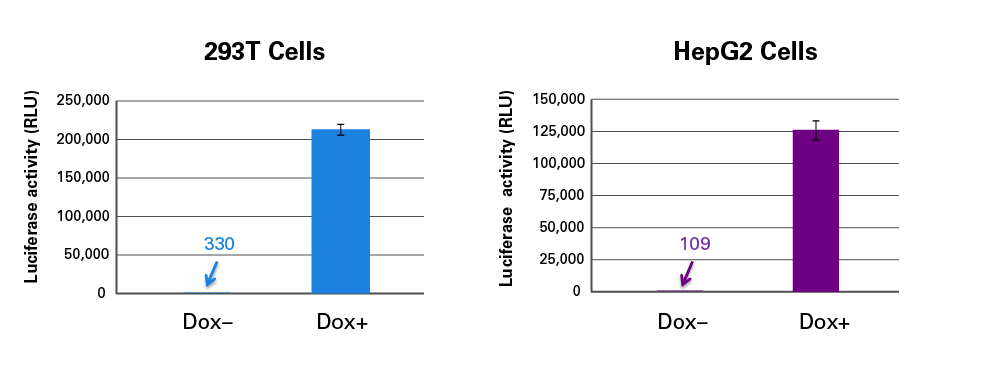 Obtain high fold induction, even from mixed transduced populations
