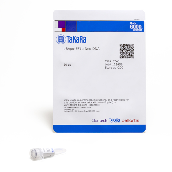 pBApo-EF1alpha Neo DNA