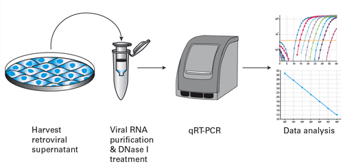 Flowchart of the procedure used for titrating retroviral supernatants with the qRT-PCR titration kits
