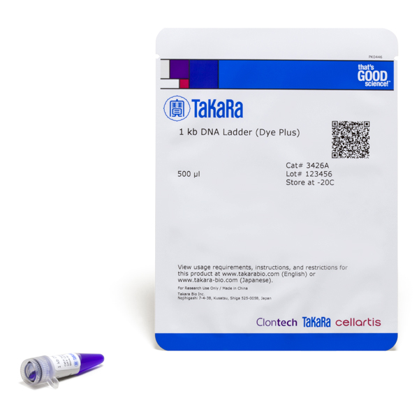 1 kb DNA Ladders - Image 2