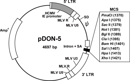 Vector map for pDON-5