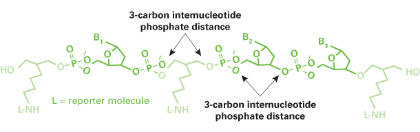 The molecular backbone of Label-ON Reagents