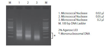 Analysis of nucleosomal DNA size distribution