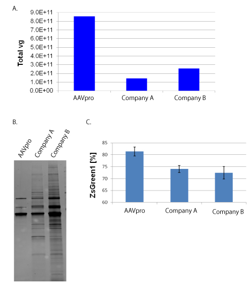 Recovery, purity, and infectivity of purified AAV2 particles