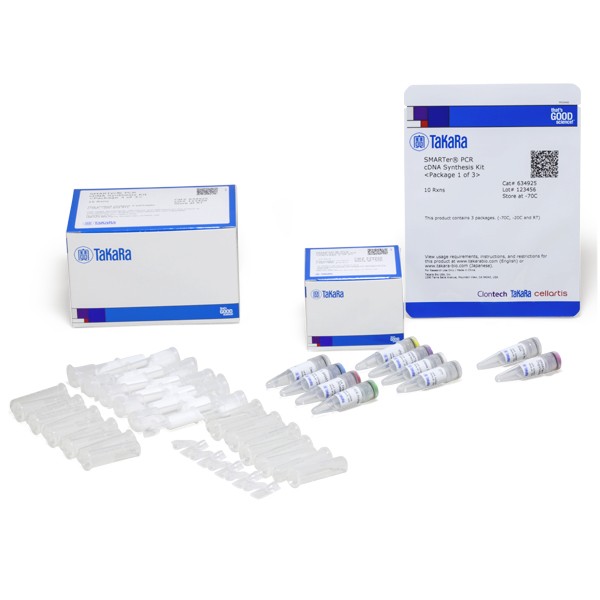 SMARTer PCR cDNA Synthesis Kit - Image 2