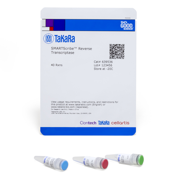 SMARTScribe Reverse Transcriptase - Image 2