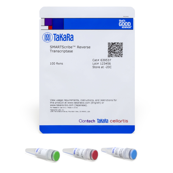 SMARTScribe Reverse Transcriptase - Image 3
