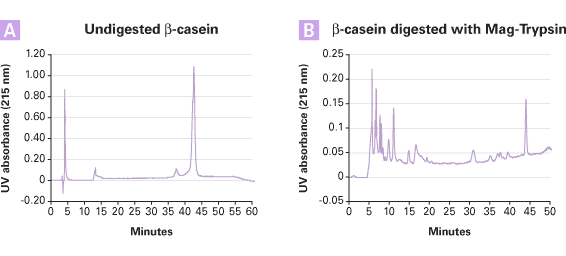 HPLC analysis of beta-casein digested with Mag-Trypsin