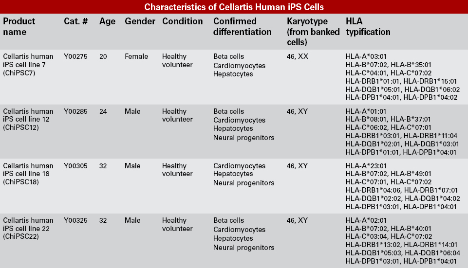 Characteristics of Cellartis human iPS cells