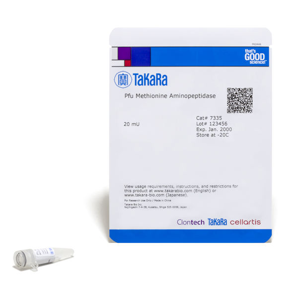 Pfu Methionine Aminopeptidase