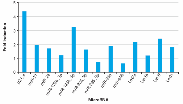 Trichostatin A treatment alters miRNA expression in mouse ES cells