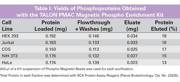 Only a small percentage of all cellular proteins are phosphorylated, so it is often necessary to enrich for this fraction before beginning an analysis