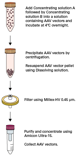 The AAVpro Concentrator process for AAV vector enrichment