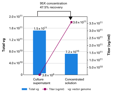 Concentration and recovery rate of AAV1 vectors concentrated using AAVpro Concentrator