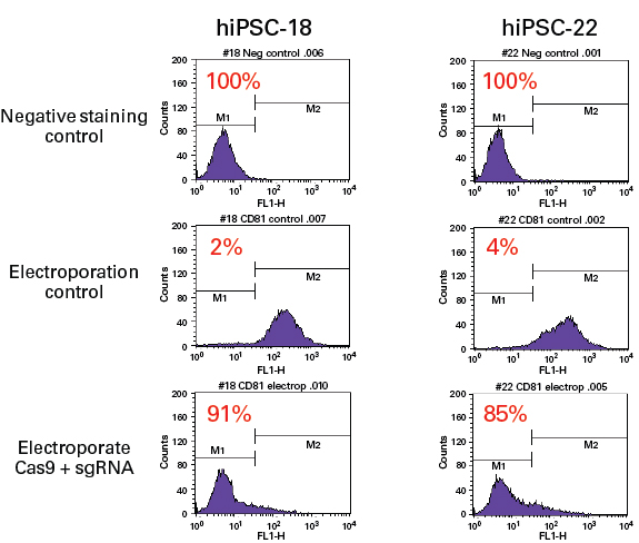 Knock out of CD81 in induced pluripotent stem cells