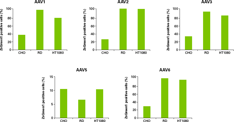 Infection capacity of AAV particles purified with the AAVpro Purification Kit (All Serotypes)