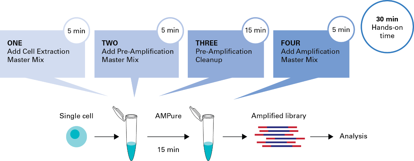 SMARTer PicoPLEX Gold Single Cell DNA-Seq Kit workflow