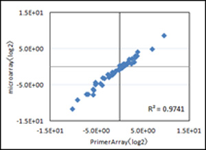 Pluripotency-related gene expression was compared in the human ES cell lines KhES-1 in different stages of differentiation using PrimerArray Embryonic Stem Cells (Cat. # PH016)