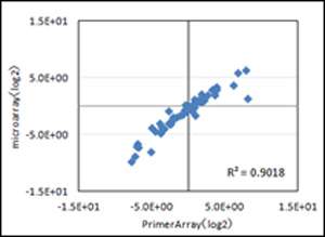Pluripotency-related gene expression was compared in the human ES cell lines KhES-3 in different stages of differentiation using PrimerArray Embryonic Stem Cells (Cat. # PH016)