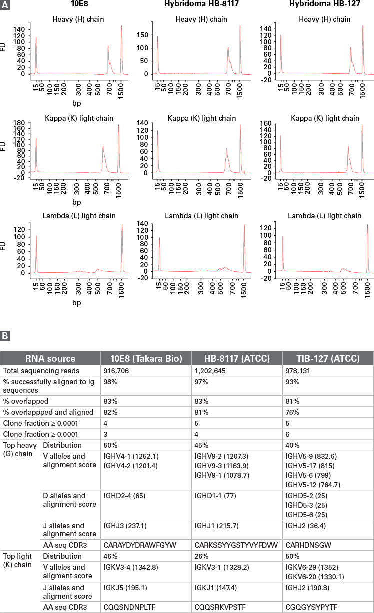 Specific amplification of IgG subclasses and kappa and lambda light chains