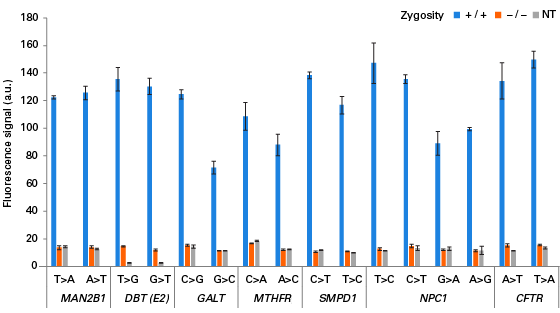 Detecting nucleotide substitutions in several human genomic loci using the Guide-it SNP Screening Kit.