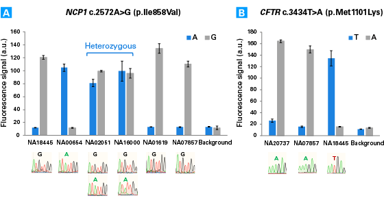 Using the Guide-it SNP Screening Kit for genotyping.