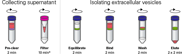 Capturem Extracellular Vesicle Isolation Kit (Maxi) workflow