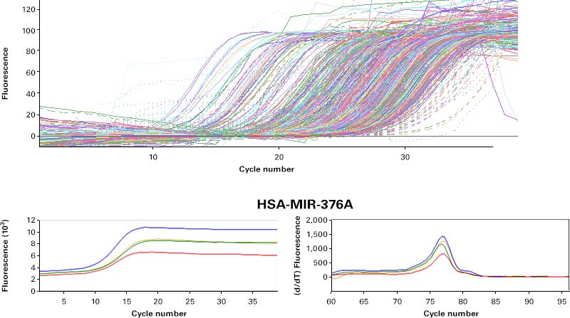 Downstream RT-qPCR on RNA extracted from Capturem-isolated EVs