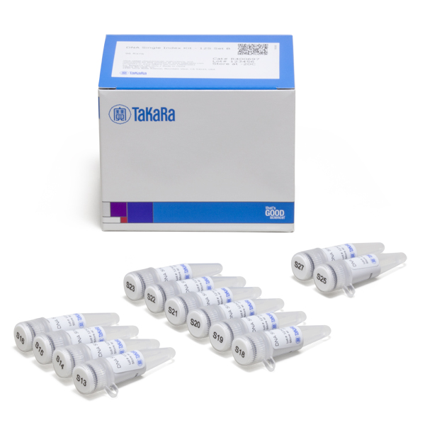 DNA Single Index Kits - Image 2