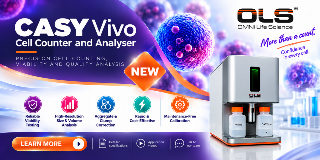 OLS CASY VIVO Flier Sept 2026 (1)