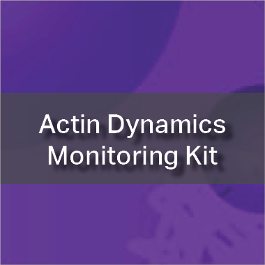 Actin Dynamics Monitoring Kit