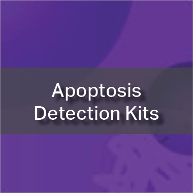 Apoptosis Detection Kits