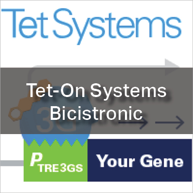 Tet-On 3G Systems - Bicistronic