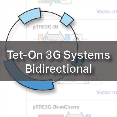 Tet-On 3G systems - Bidirectional