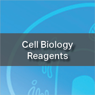 Cell Biology Reagents