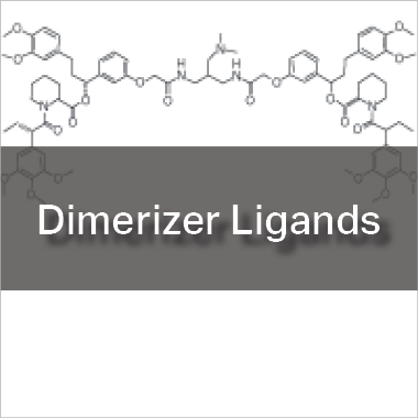 Dimerizer Ligands