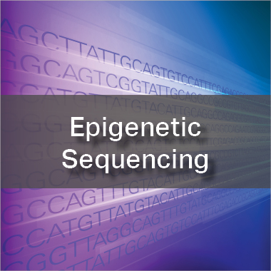 Epigenetics and Small RNA Sequencing