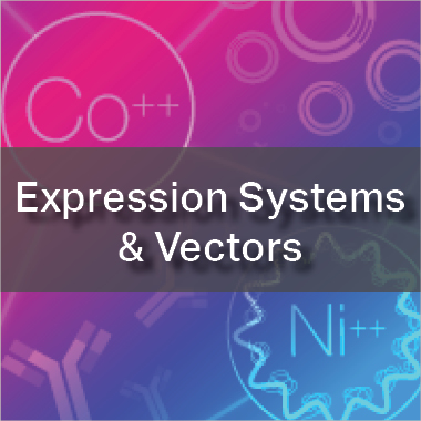 Expression Systems & Vectors