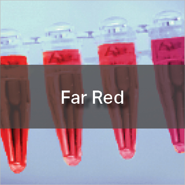 Far-red Fluorescent Proteins